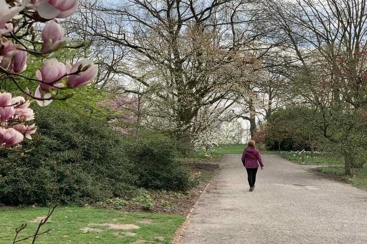 Waarom 10.000 stappen slechts een mooi getal is: wat de wetenschap eigenlijk zegt over onze dagelijkse norm