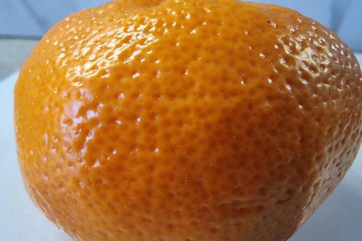 Waarom er sinaasappelschillen op tafel blijven liggen: een smakelijk antwoord op de schoonheidsvraag